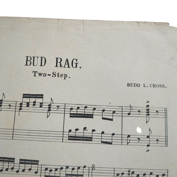 1909 Bud Rag Sheet Music Front Cover Only Great Graphics Budd Cross - Picture 3 of 3